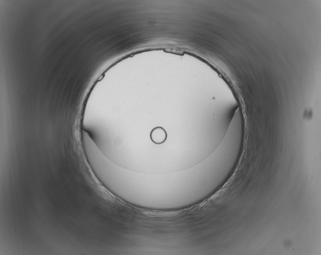 X0000116631296201001081245