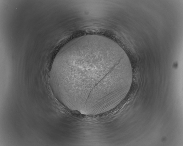 X0000116631297201001081244