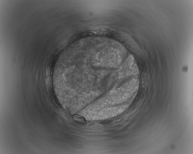 X0000116631298201001081244