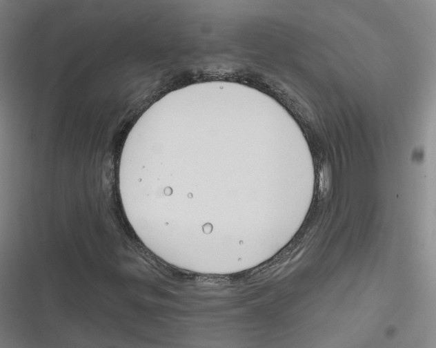 X0000116631299201001081244