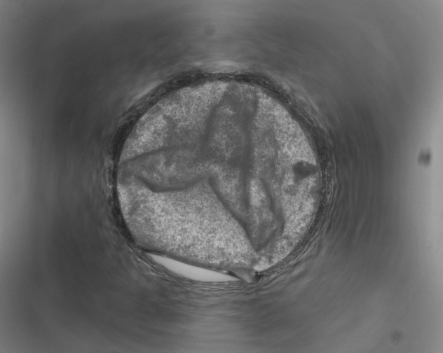 X0000116631301201001081244