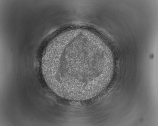 X0000116631302201001081244