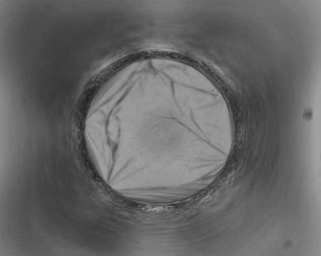 X0000116631303201001081244
