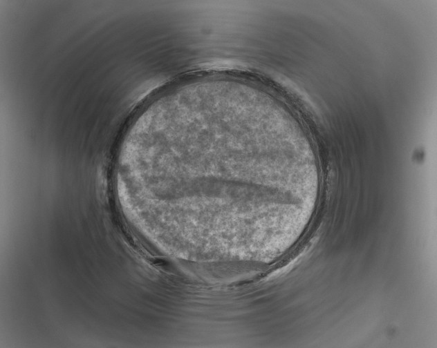 X0000116631305201001081244