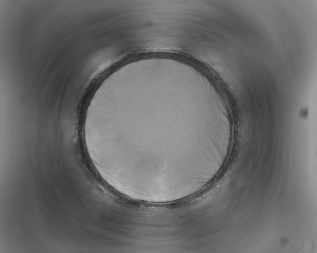 X0000116631306201001081244