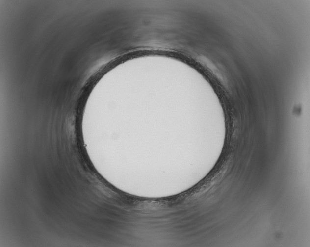 X0000116631307201001081244