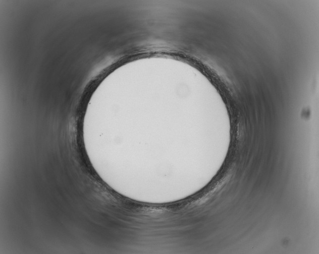 X0000116631309201001081244