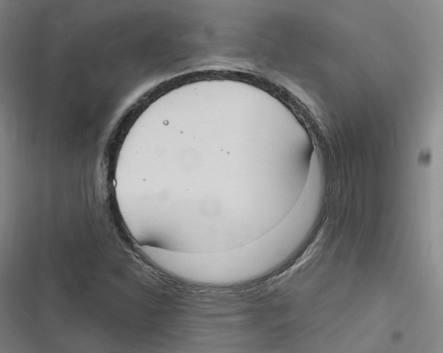 X0000116631310201001081244