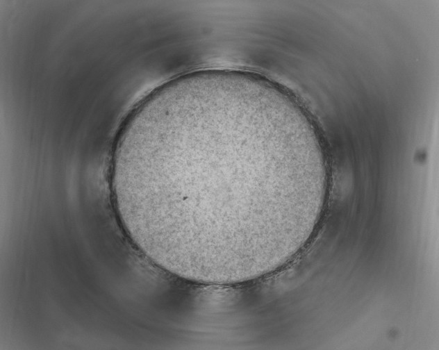 X0000116631314201001081244
