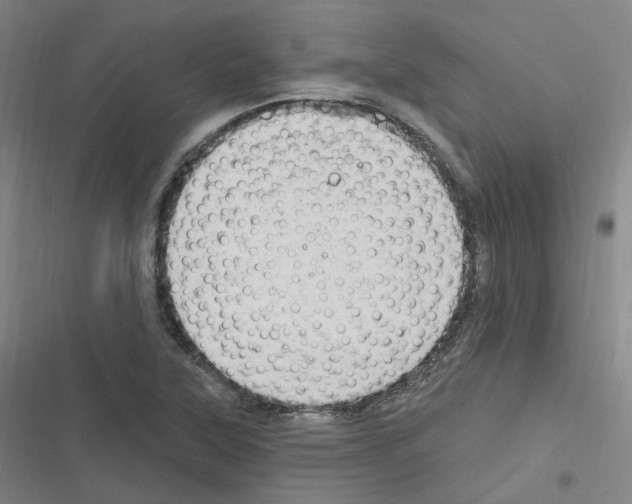 X0000116631315201001081244