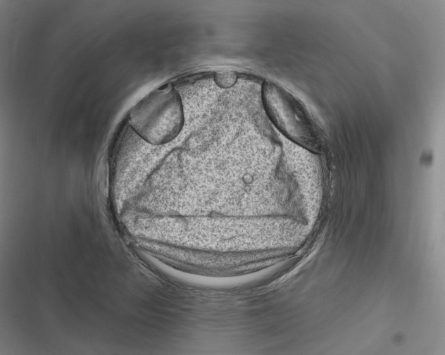 X0000116631317201001081244