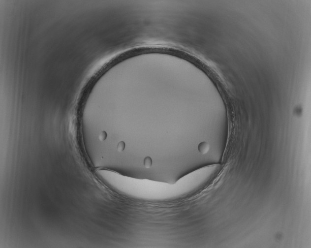 X0000116631319201001081244