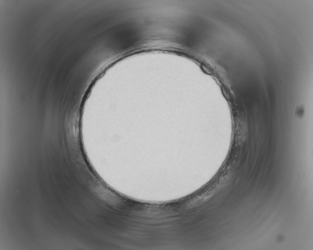 X0000116631322201001081244