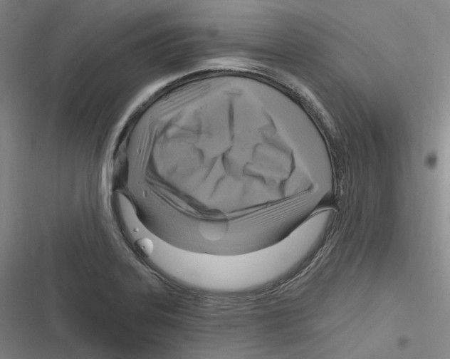 X0000116631323201001081244