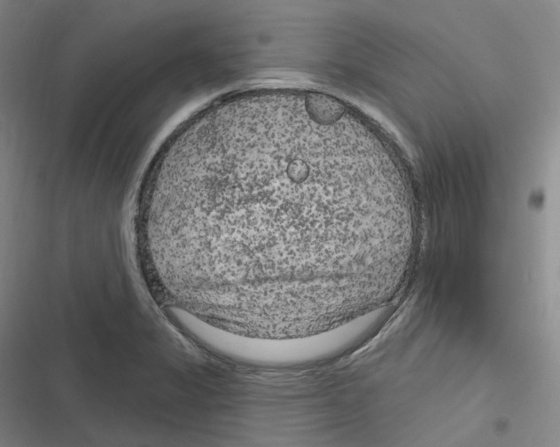 X0000116631325201001081244