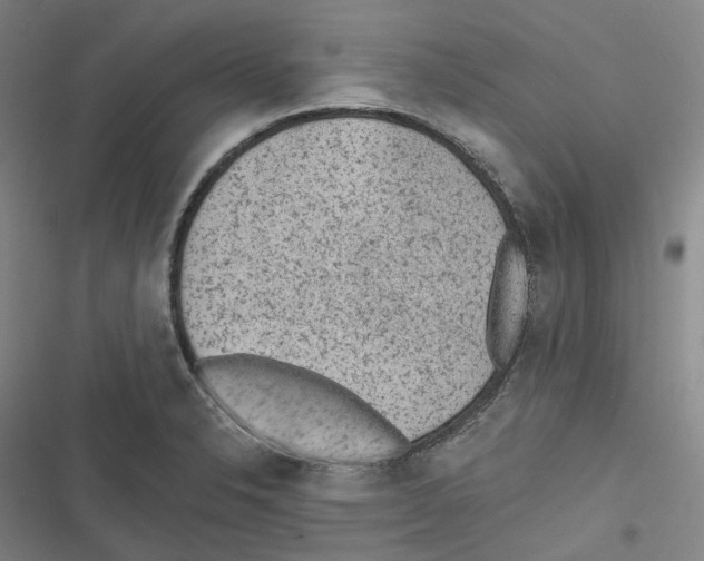 X0000116631326201001081244