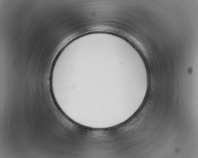 X0000116631330201001081244