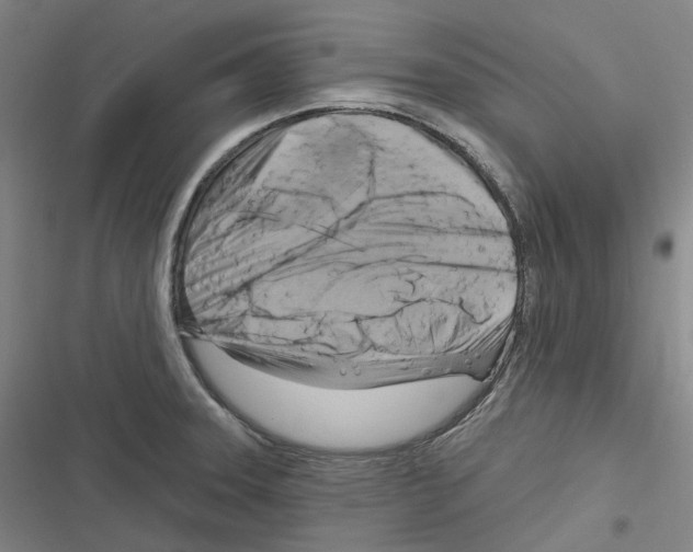 X0000116631331201001081244