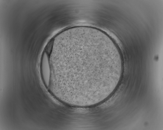 X0000116631333201001081244