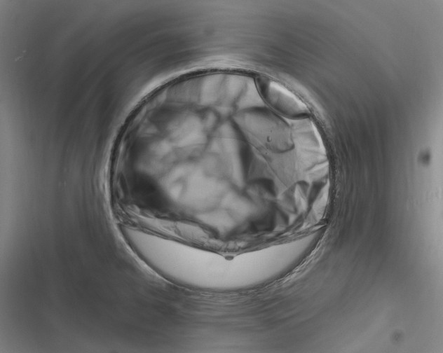 X0000116631334201001081244