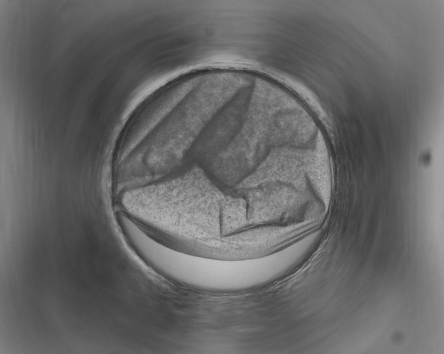 X0000116631335201001081244