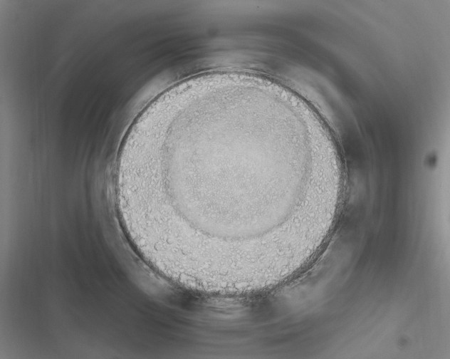 X0000116631338201001081244