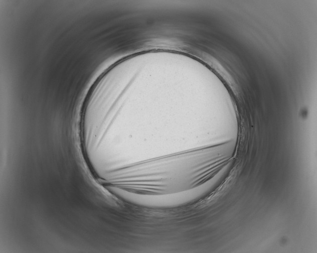 X0000116631339201001081244