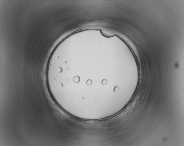 X0000116631341201001081244