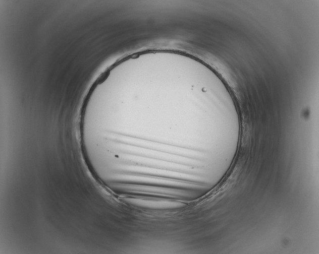 X0000116631342201001081245