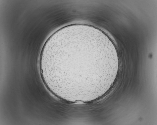 X0000116631343201001081245