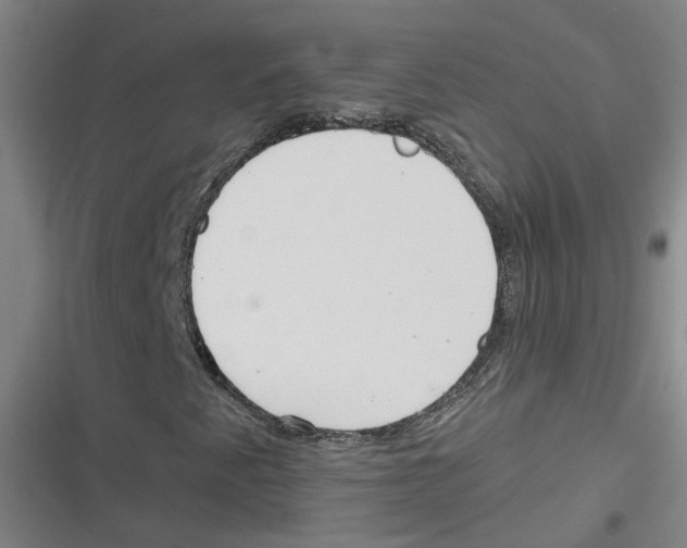 X0000116631345201001081244