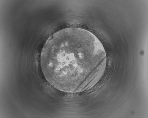 X0000116631346201001081244