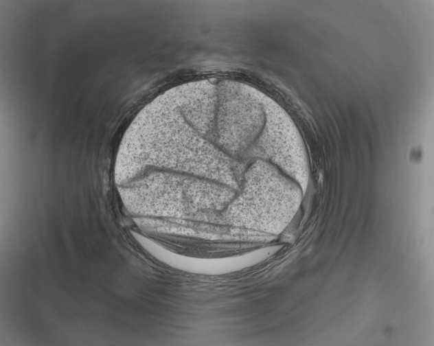 X0000116631348201001081244