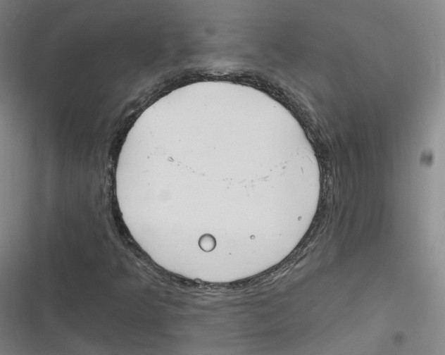 X0000116631349201001081244