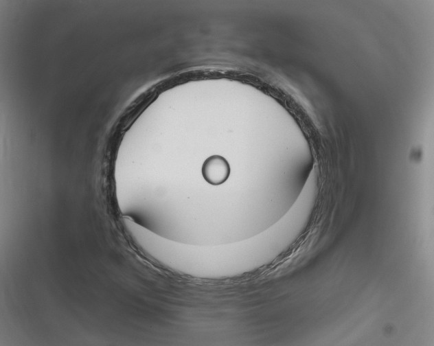 X0000116631352201001081244