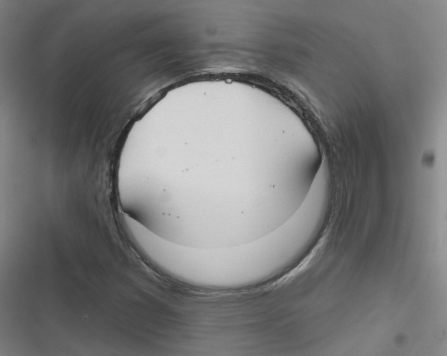 X0000116631353201001081244
