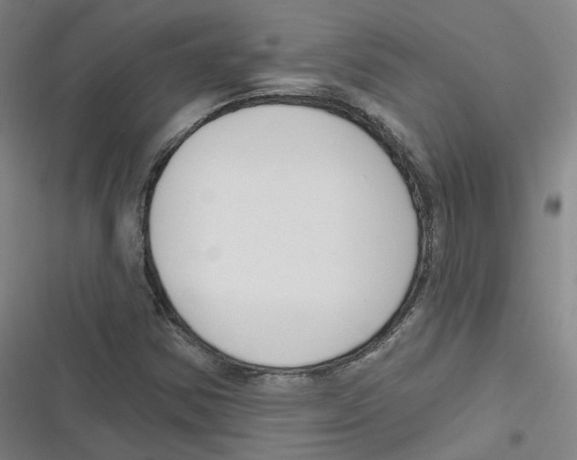 X0000116631354201001081244