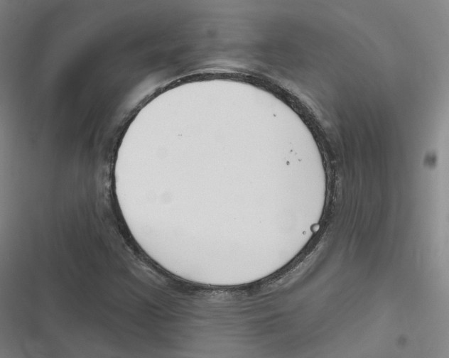 X0000116631355201001081244