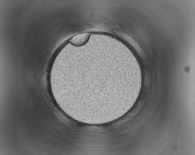 X0000116631356201001081244