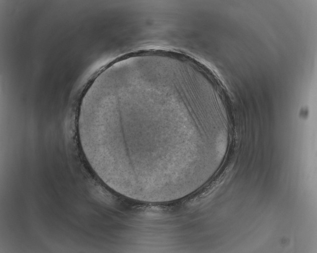 X0000116631359201001081244