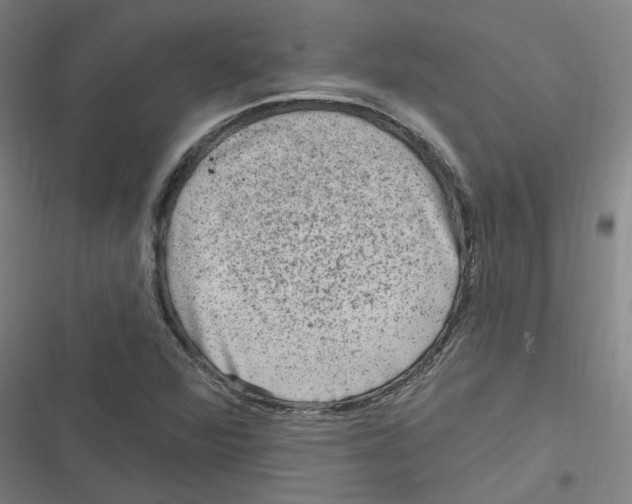 X0000116631360201001081244