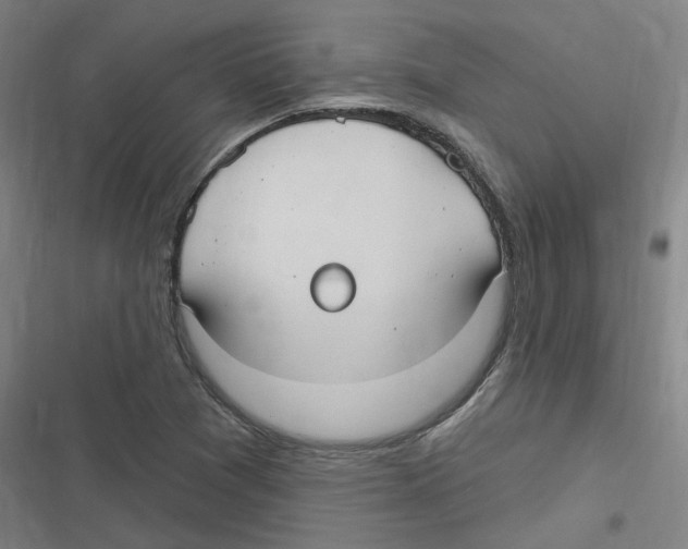 X0000116631361201001081244