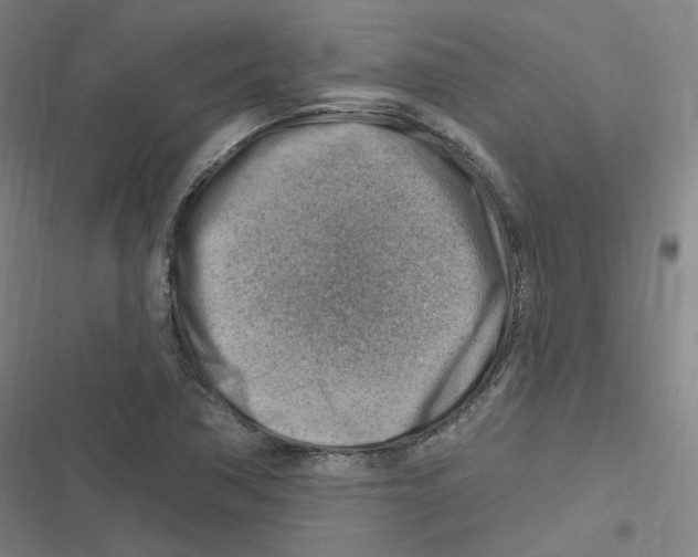 X0000116631362201001081244