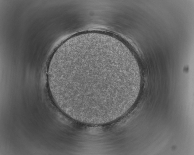 X0000116631363201001081244