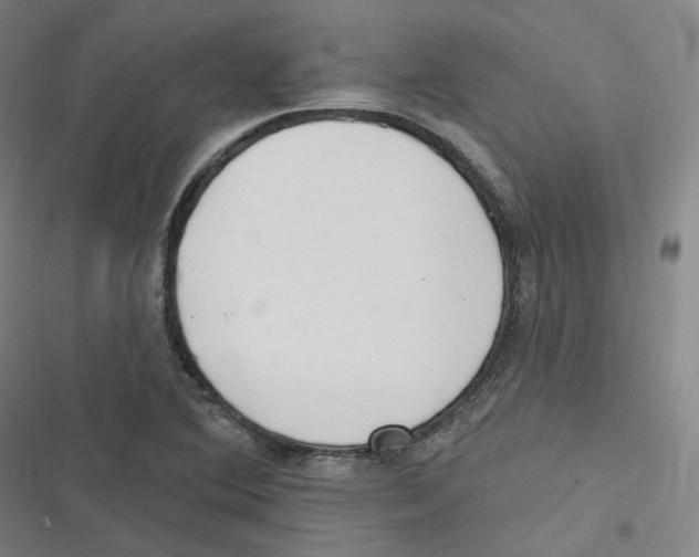 X0000116631364201001081244