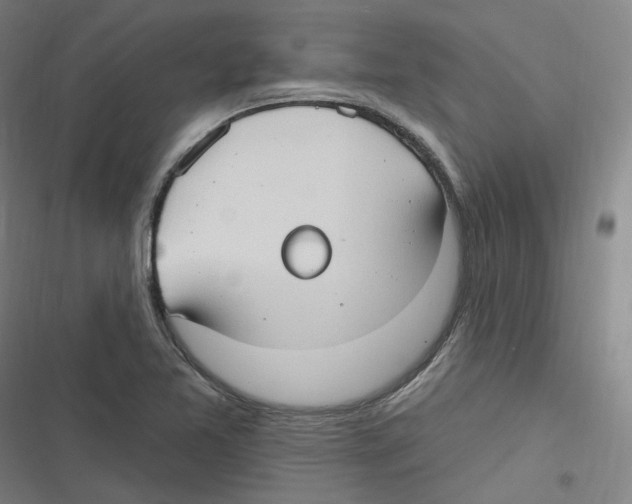 X0000116631365201001081244