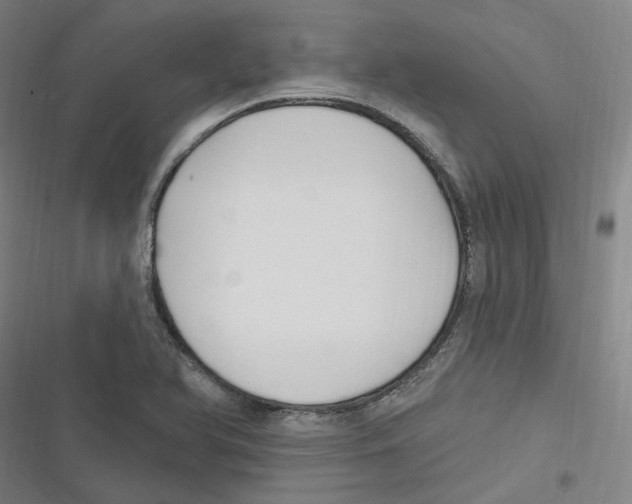 X0000116631366201001081244