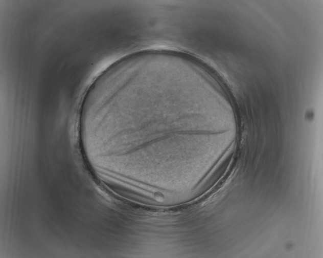 X0000116631367201001081244