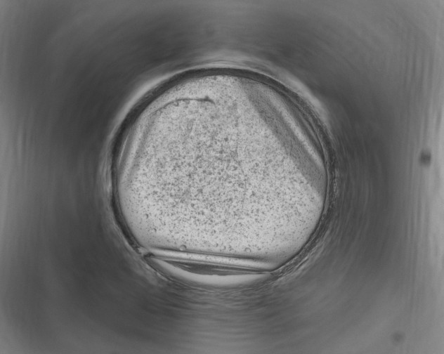 X0000116631368201001081244