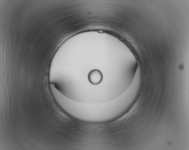 X0000116631369201001081244